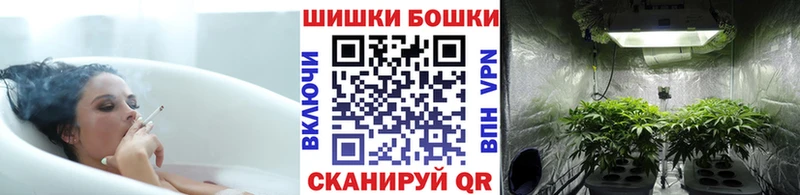 Канабис семена  наркошоп  Жигулёвск 